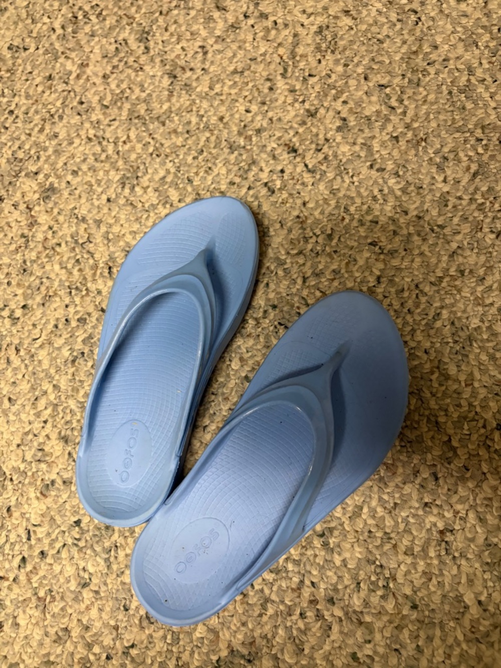 Oofos recovery sandal